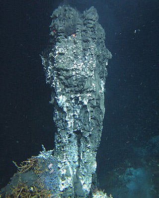 科学家发现海底火山微生物