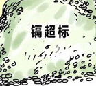 镉大米