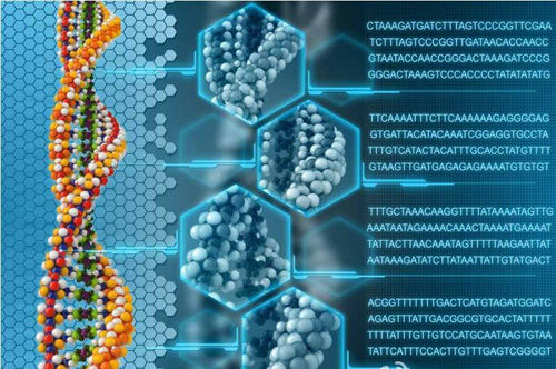 单细胞DNA测序揭示微生物暗物质