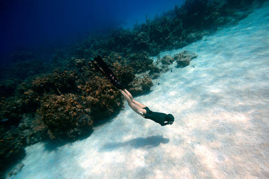 在训练过程中，克里斯蒂娜在海中自在畅游和玩耍。身边不远处是片片珊瑚礁。