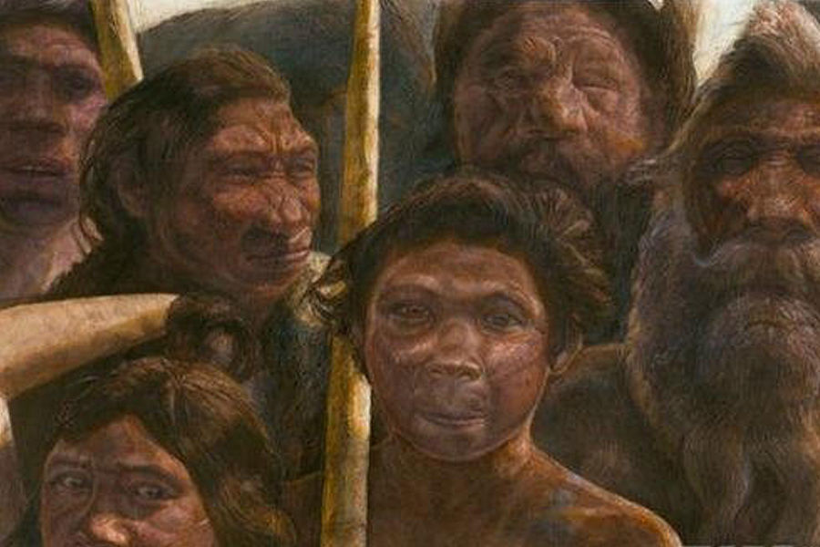丹尼索瓦人主要生活在更新世晚期的亚洲大陆，相比于人类进化史中间阶段的代表尼安德特人，我们对他们的了解非常少。科学家只能通过他们较低的基因多元性，推测他们曾随着时间推移分布在较广的地区，种群在开始时相当小但却成长很快，没有时间增加基因多元性。