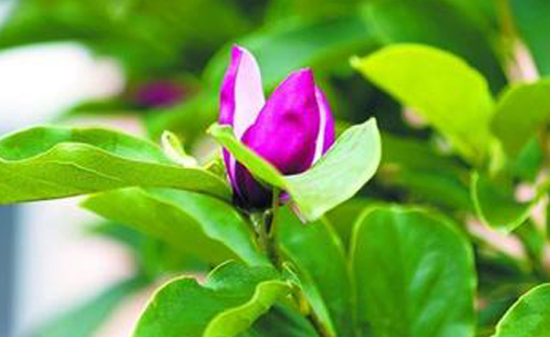 青岛20度VS青岛潮爆了