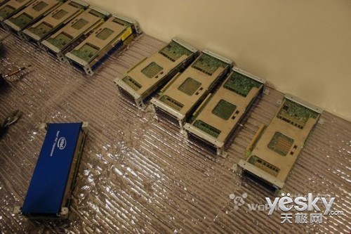 Ӣ�ض������й������������������