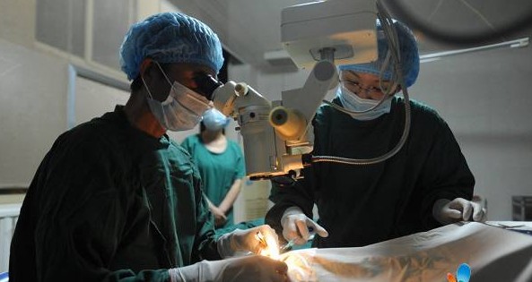 rdn_4fe13c83379ae.jpg