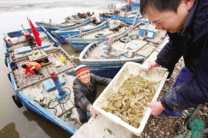 皮皮虾是海鲜吗_皮皮虾怎么剥图解_皮皮虾(3)