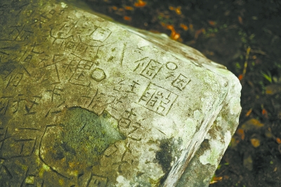图片版权归原作者所有 图片版权归原作者所有