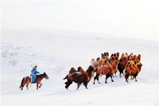 用相机记录大自然的美好 警界摄影师闫长河