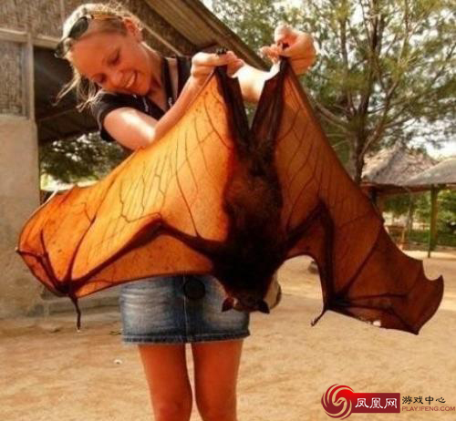 暗夜里的死灵 传说中的吸血鬼