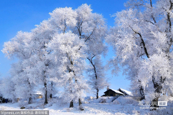 吉林雾凇 中国四大自然奇观_辽宁频道_凤凰网