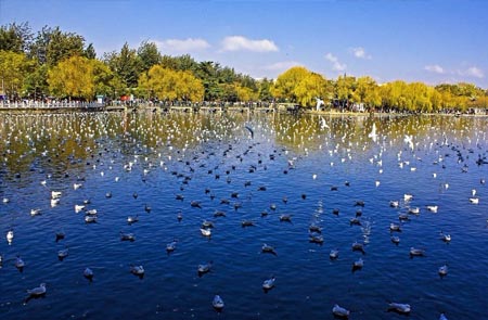 收入证明_昆明收入水平(2)