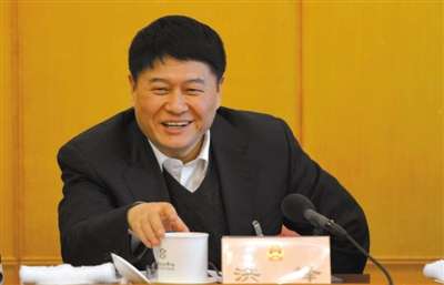 北京市人大代表、北京市副市长洪峰。