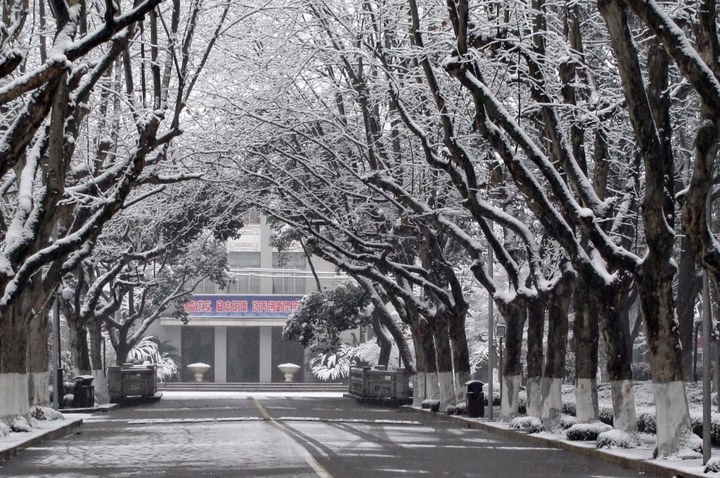 艺术学院校园优秀摄影作品展为校庆添彩
