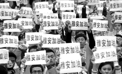 鲁能泰山_鲁能集团收入