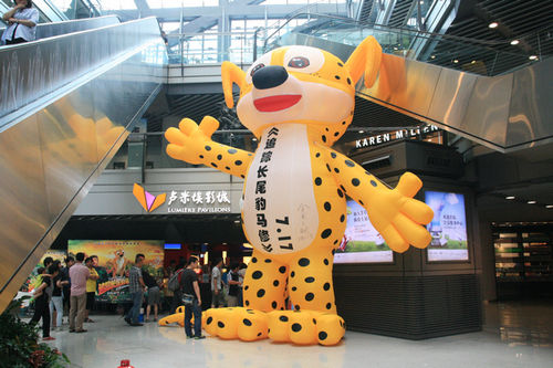 寻找长尾豹马修