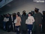 其情可叹的杀人犯陆金凤