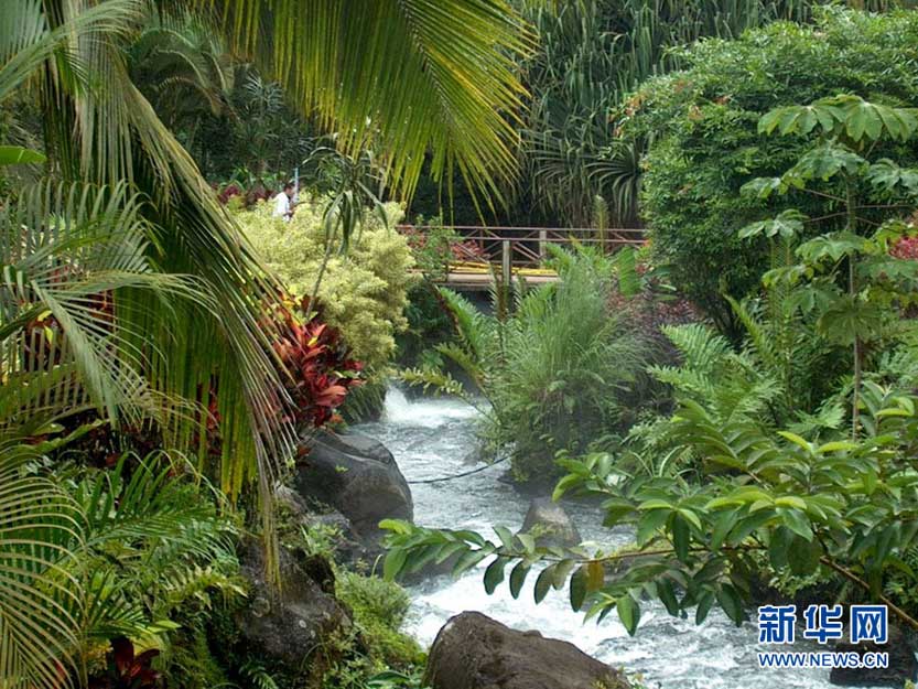 高清:世界最美十大热带雨林