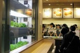 当地时间2010年7月5日，日本东京都千代田区丸新城，赛百味公司（Subway）在快餐店内设有“生菜农场”，通过提供新鲜采摘的安全蔬菜吸引更多重视饮食健康的食客。