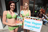 美国贝佛利山，佩吉·施耐德（Paige Snyder）和海登·汉密尔顿（Hayden Hamilton）共同参与动物慈善组织举办的活动。她们身穿绿色圆白菜样式比基尼，在街上发放蛋糕为宣传爱护动物宗旨。
