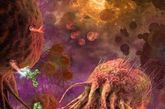 乳腺癌细胞似外星生物在这幅灵感来源于H. P. 洛夫克拉夫特的插图中，乳腺癌细胞看起很像触须一样的外星生物。一种用来对抗乳腺癌的抗体——TRA-8漂浮在前景画面中。（来源：家庭医生在线）