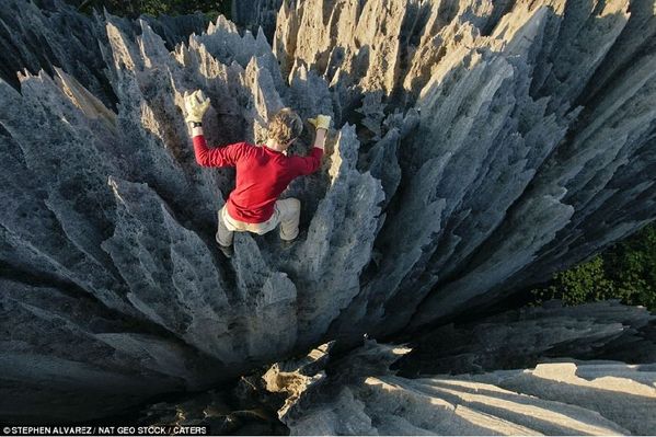 摄影师探访世界最大石林 冒险拍壮观图片