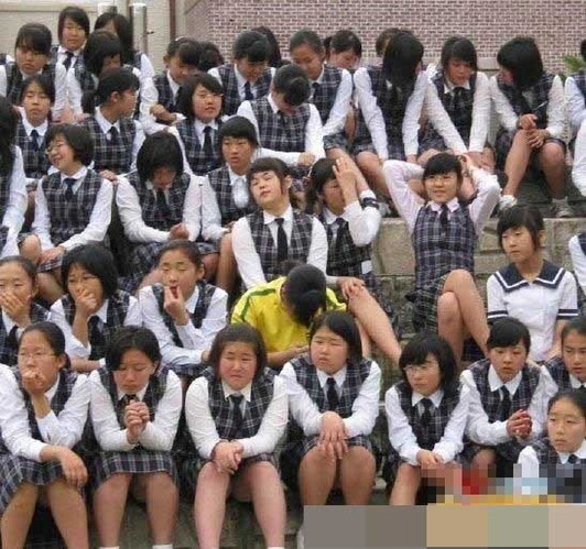 日本人眼中的韩国人(组图)