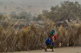 当地时间2012年4月19日，乍得草原荒漠地带的Mondo村庄，妇女将洗净晒干的衣服从树丛篱笆上收走。

