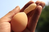江西省湖口县一只母鸡似乎忘记了自然规律，居然产下一枚带有大尾巴的畸形蛋。这枚蛋看上去要比正常鸡蛋稍小，但其大尾巴却使它比一般鸡蛋长了很多，足有8.5厘米。
　　据介绍，家禽产下各种奇怪的蛋其实很正常，但专家们尚不清楚为何这枚蛋会带有一条尾巴。有人怀疑可能因为这只鸡压力过大，也有人说可能是鸡正在脱毛，营养不够所致。总之，这样一只长相奇特的蛋，是该蒸了？煮了？还是煎了吃呢？估计足够其主人抓耳捞腮一阵子了。
