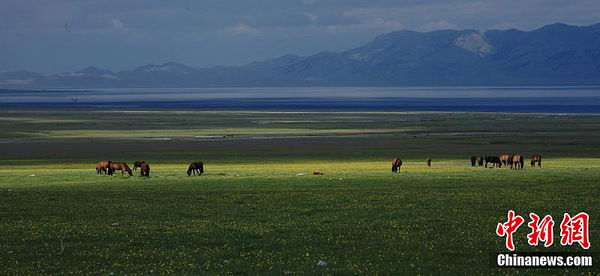 新疆赛里木湖六月风景最迷人