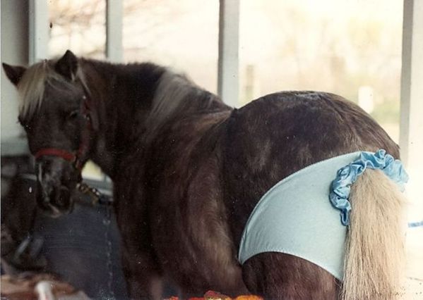 动物与人趣图: 让人笑破肚皮的 尴尬瞬间(组图)_