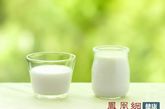 牛奶必须煮沸

　　通常，牛奶消毒的温度要求并不高，70℃时用3分钟，60℃时用6分钟即可。如果煮沸，温度达到100℃，牛奶中的乳糖就会出现焦化现象，而焦糖可诱发癌症。其次，煮沸后牛奶中的钙会出现磷酸沉淀现象，从而降低牛奶的营养价值。

