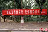 2012年6月14日，河南商丘，公路两侧悬挂许多措辞通俗易懂的禁烧秸秆的宣传条幅。小巍 摄 图片来源：CFP视觉中国