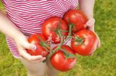 番茄预防癌症

番茄红素是迄今发现的抗氧化能力最强的天然物质，能防治心血管疾病，提高机体免疫力，预防癌症，在番茄皮中含量最多。


