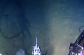 6月27日，“蛟龙”号在7000米级海试第五次下潜试验中，最大下潜深度达到7062米，并在海底发现有丰富的生物多样性存在。