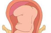 胎儿的脸是朝向肛门方向，然后用力一压就开始出来了


