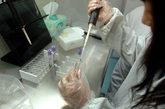 一工作人员做DNA抽取实验。
