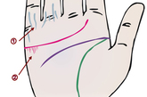 上呼吸道炎手掌色变紫、尾指、无名指浮现青筯，系感冒发热前兆。感情线上靠尾指处出现纵纵线，多生喉病，有喉头癌的可能。

