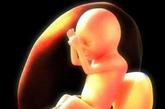 胚胎映射：将一个跟踪代理植入一个人类胚胎中,用来监测胚胎的进化。实验假想：如今,许多孕妇都愿意接受各种检测以确保自己的胎儿是正常的。那么,她们之中是否有人愿意允许科学家将自己的胎儿作为实验对象呢?估计不太可能有人愿意这样做。但是,如果没有这些激进的实验,我们将永远无法理解人类发展过程中众多难以解释的谜团,如一小团细胞究竟是如何进化形成一个完整的人体的。如今,利用长时间跟踪细胞的基因行为这样新技术,科学家们或许可以回答这个问题。
