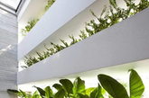 这座名为“Stacking Green”的住宅位于越南胡志明市，住宅的主人是一对30岁的夫妇和他们的妈妈。住宅呈筒形，宽4米高20米。最显著的特征是立面上层层堆积的露台以及上面摆放的大量绿色植物盆景。建筑的绿墙将污染与噪声隔绝在外，将室内的空气净化，阳光穿过绿墙在室内产生斑驳的光影，让人感觉仿佛置身雨林。（实习编辑李丹）
