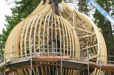 新西兰奥克兰附近一家建在树上的餐厅吸引了很多人的好奇心。这间木质小屋建在一棵坚固的松树上，距离地面40米高，外型看起来就像一只蚕茧的外壳。小屋建在红木树森林的边上，四周的板条是用白杨木制作而成，还有红木制成的栏杆。它的通道是由一个低角度的厚木板支起的，这不仅保证了顾客出入小屋的安全，更便于坐在轮椅中的顾客通行。坐在这间木质的饭店小屋中，放眼望去会看见辽阔的草坪和流淌的小河，太阳光会恰到好处地直射进小屋里，暖暖的照在身上，这是何等的惬意。（实习编辑李丹）