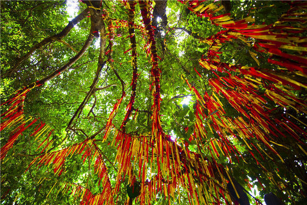 呀诺达雨林文化旅游区 海南的香格里拉
