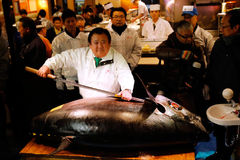 日本拍卖230公斤重金枪鱼