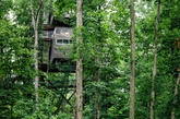 丛林中，这座绿色具有可持续性的建筑是为美国年轻的侦察兵们建造的教育中心。为了资源保护，从地面到顶层125英尺的距离，需要攀爬室外的楼梯。（实习编辑李丹）