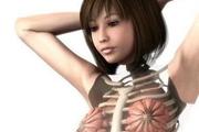 日本3D美女医学人体解剖图