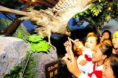 朝鲜青少年入住国际夏令营