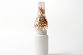 意大利设计师Giuseppe Bessero Belti 的花瓶设计，灵感来自在电灯发明前广泛流行的煤油灯。设计师采用3D打印技术将这一经典物品重新带入日常生活。金属转变为尼龙材料，煤油换成了水，灯光变成了花朵，设计满足人们怀旧的需要，同时焕发出新的美感。（实习编辑：石君兰）