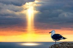 英国摄影师捕捉金光穿云奇景