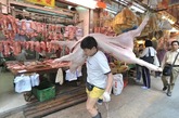 2008年12月22日，香港，菜市场内，一名男子扛着一头生猪返回自己的肉店。