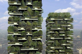 著名建筑设计所“博埃里工作室”的负责人、现年35岁的米歇尔·布鲁内洛从2006年开始设计这对被命名为“垂直森林”的建筑。它们位于意大利米兰，灵感来自一次植树活动。（实习编辑：陈尚琪）