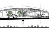 四、方案D: 有机天幕Organic Canopy , McGill大道大桥景观设计   