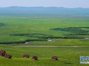 “天边草原”——内蒙古乌拉盖（图）